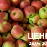 Цены на рынке 25 апреля 2025 года
