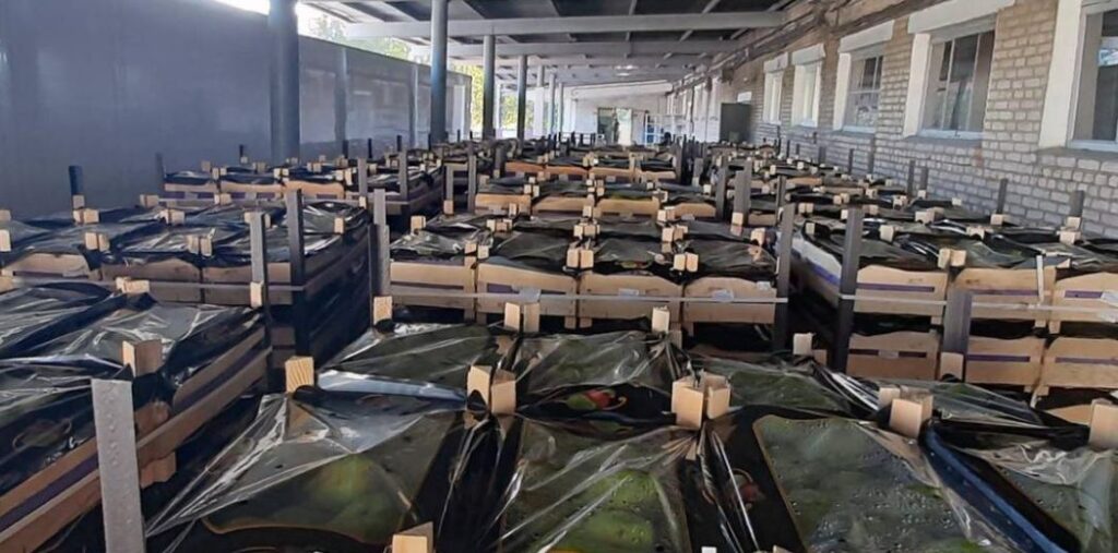 груши на границе