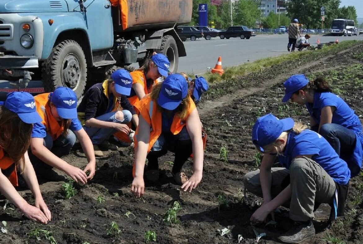 Работать с 14 лет: сколько будут платить и что разрешено работа подростков