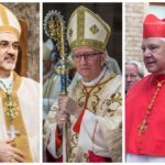 Кардиналы, которые будут на выборах папы римского