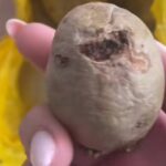 Плохая картошка