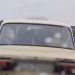 Корова в машине