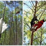 Парашютистка повисла на дереве