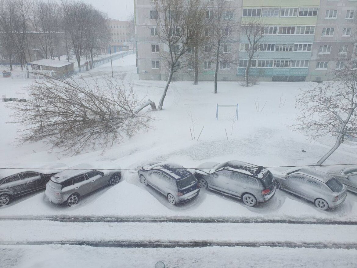 Погода в Беларуси