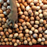 Яйца в обмен на пошлины