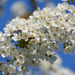 погода на выходные