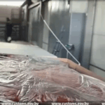 рыба по фальшивым документам