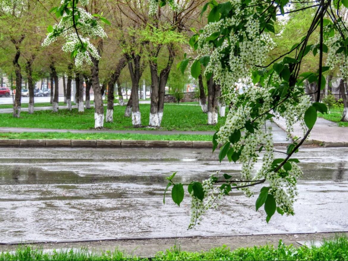 Теплее будет, но не без сюрпризов: прогноз на майскую неделю погода на неделю