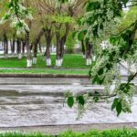 погода на неделю