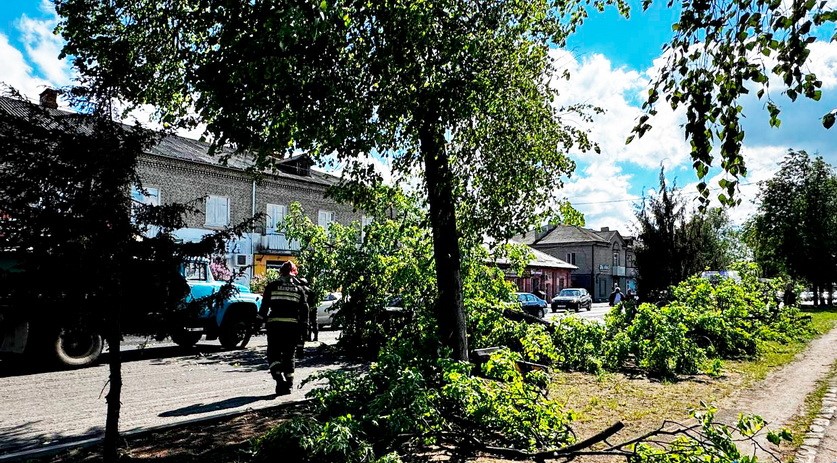 дерево упало на дорогу