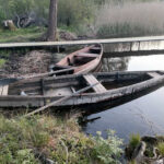 браконьерство