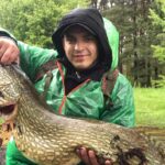 щука на 12 кг