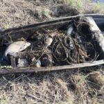 браконьерская лодка