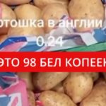 Картофель в Англии
