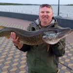 красавица щука