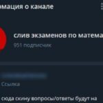 Сливы экзаменов