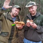 Первые боровики 2025