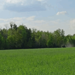 заморозки в РБ