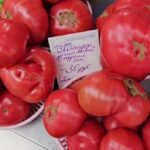 Помидоры по 30 рублей