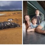 В Жодино протестуют против строительства фекального пруда