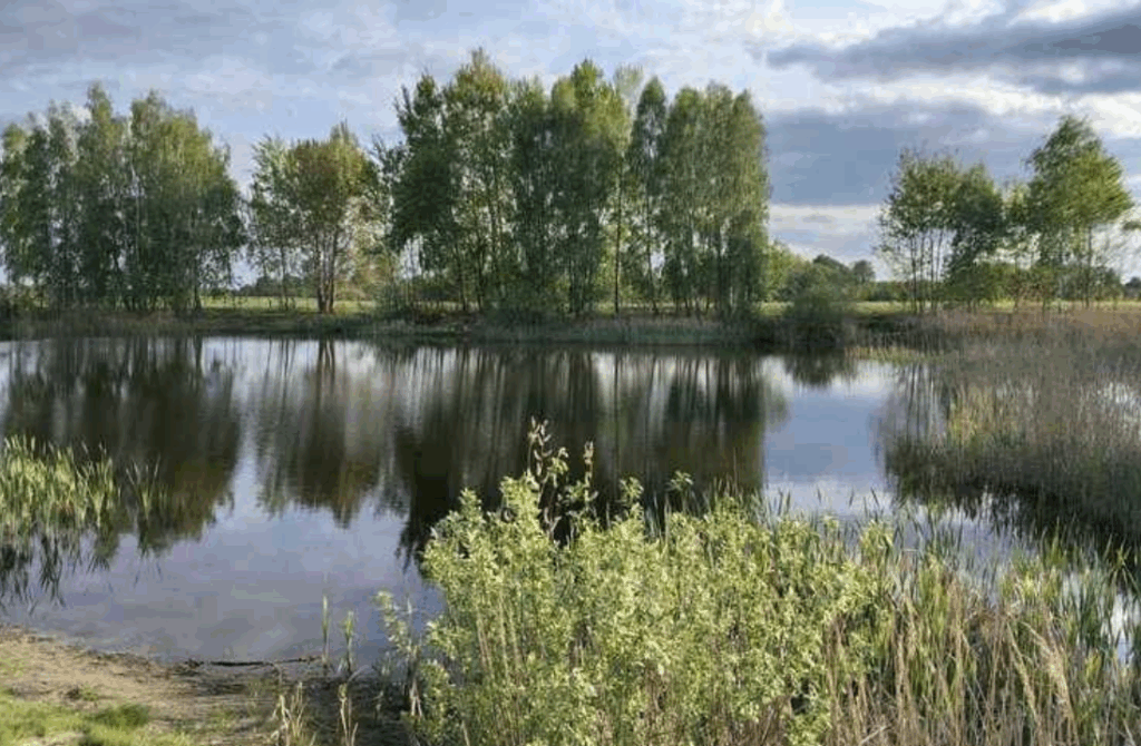 озеро близ деревни Городечно.