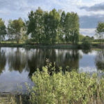 озеро близ деревни Городечно.