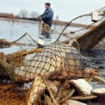 Рыбалка на сети