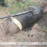 Снаряд нашли в Ивацевичском районе