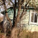 Убийство в Столинском районе