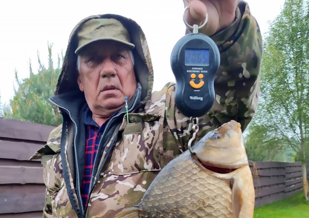 серебристый карась