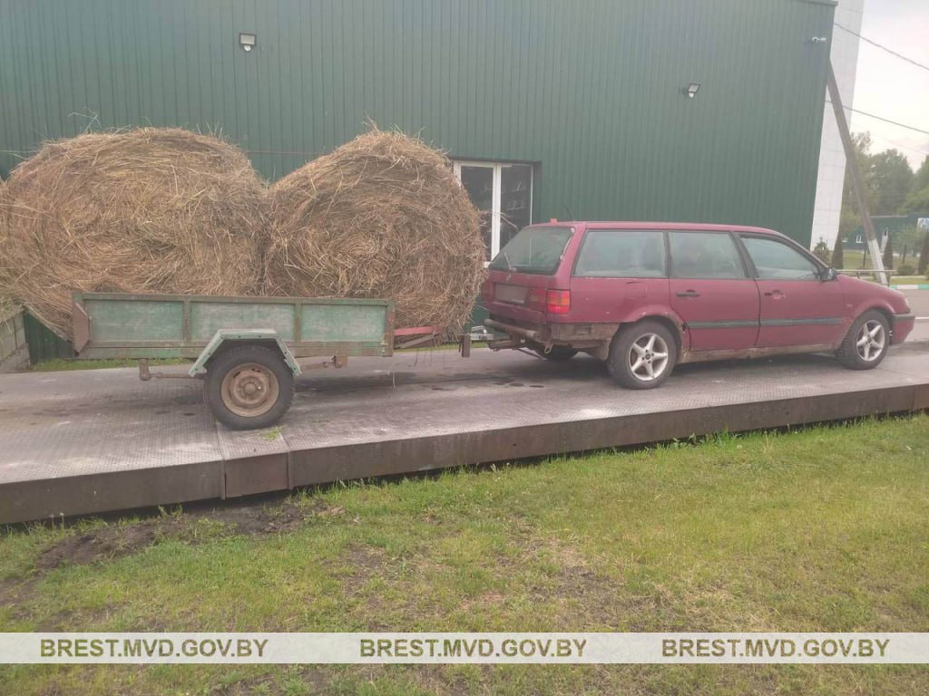 Воровал сено Ивацевичи