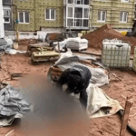 трагедия в Мачулищах