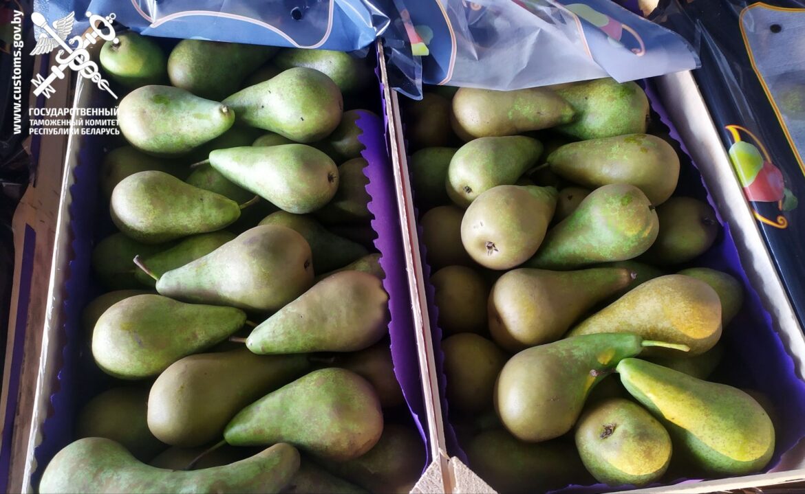 задержанные груши