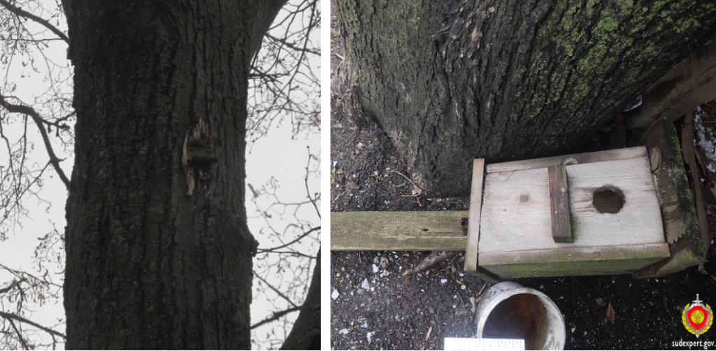 скворечник упал на человека