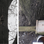 скворечник упал на человека