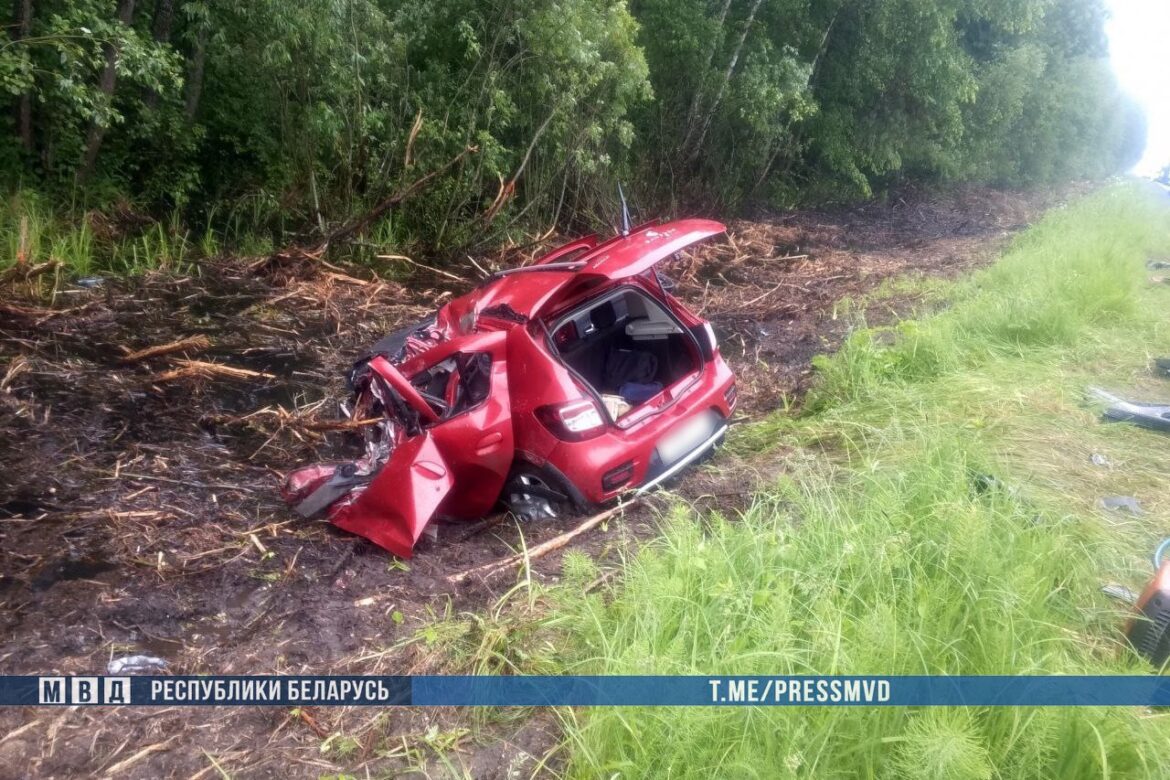 ДТП в Жлобинском районе