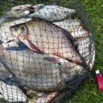 Рыбалка на Гати