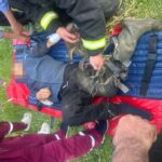 Ногу зажало