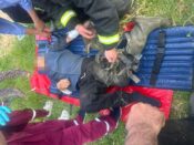 Ногу зажало