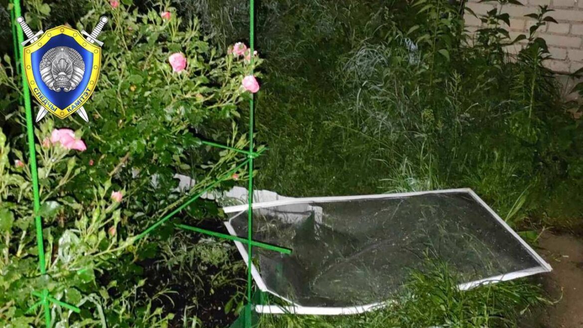 из окна выпал ребенок