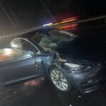 Водитель Тесла сбил троих лосей