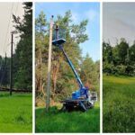 Ветер наломал деревьев