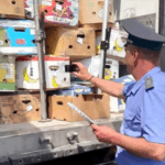 задержанные огурцы