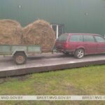 Воровал сено Ивацевичи