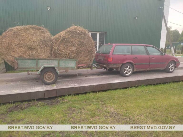 Воровал сено Ивацевичи