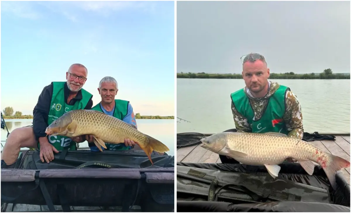Два рыбака держат большого карпа на берегу озера