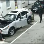 Таможенники с собакой досматривают автомобиль INFINITY на пункте пропуска «Каменный Лог»