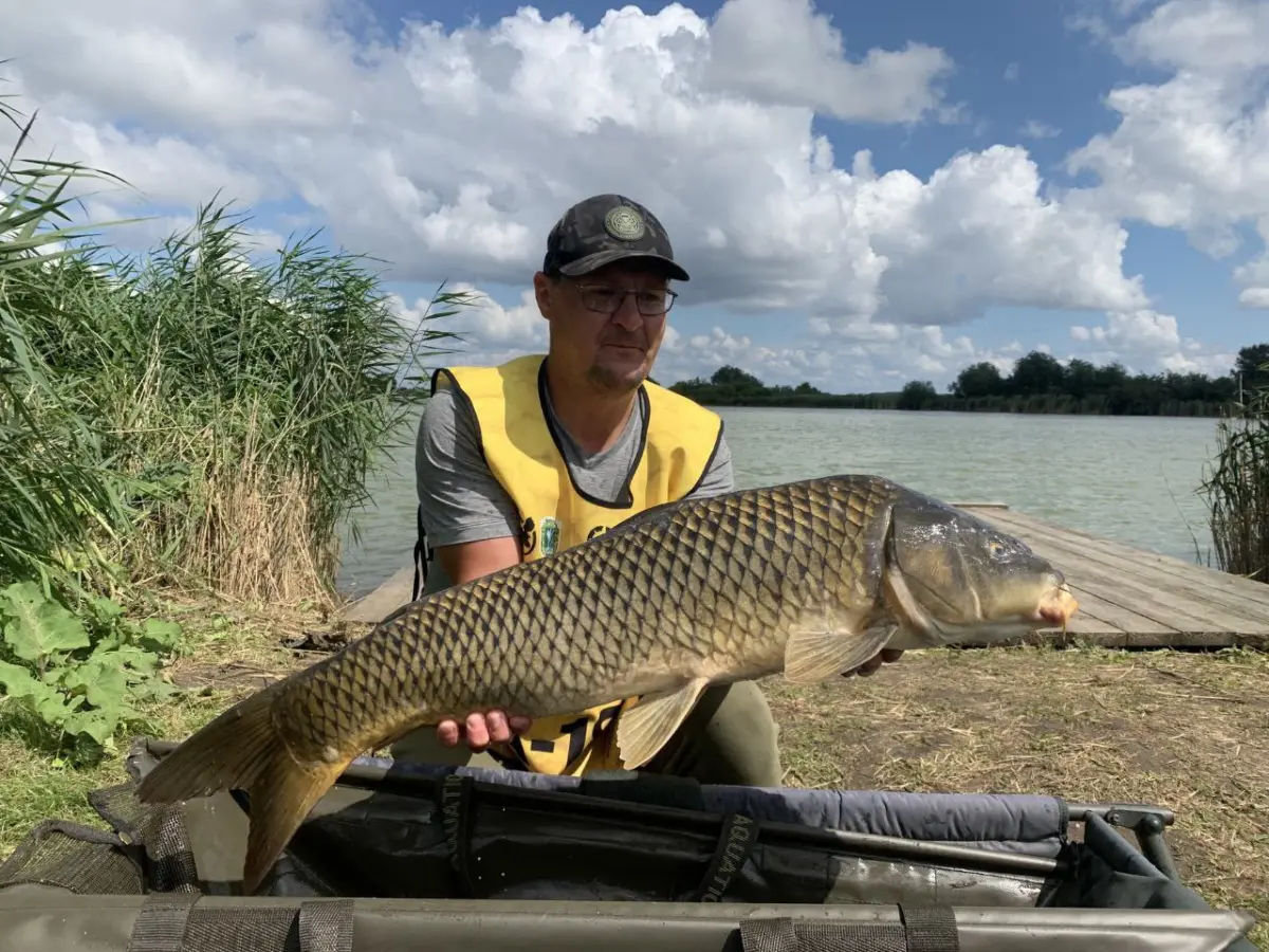 Участник турнира показывает трофейного карпа перед отпущением