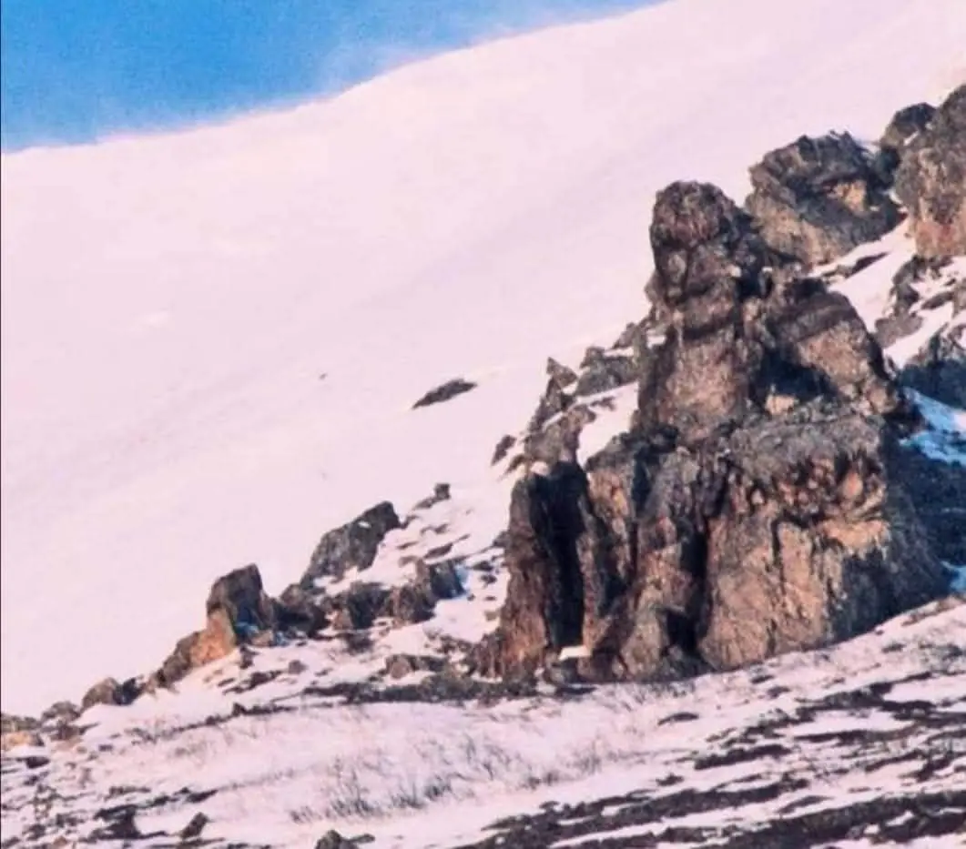 А вы тоже видите сидящего тролля