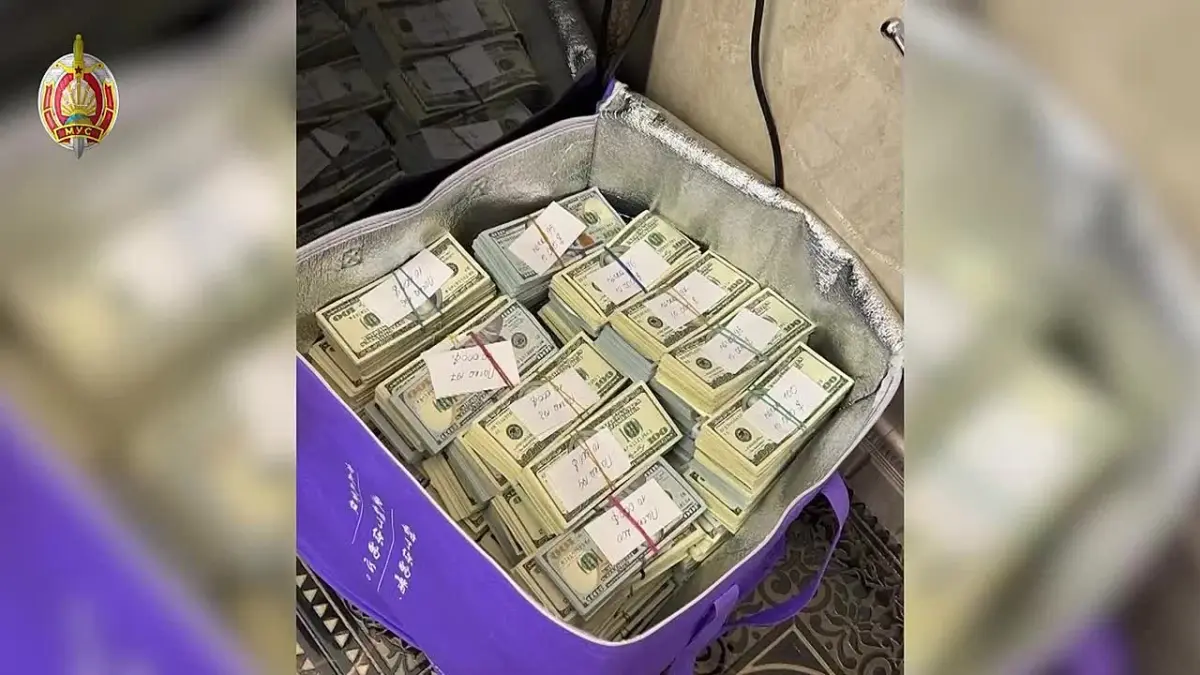 Купюры в 100 долларов, аккуратно упакованные в пачки, лежат в сумке